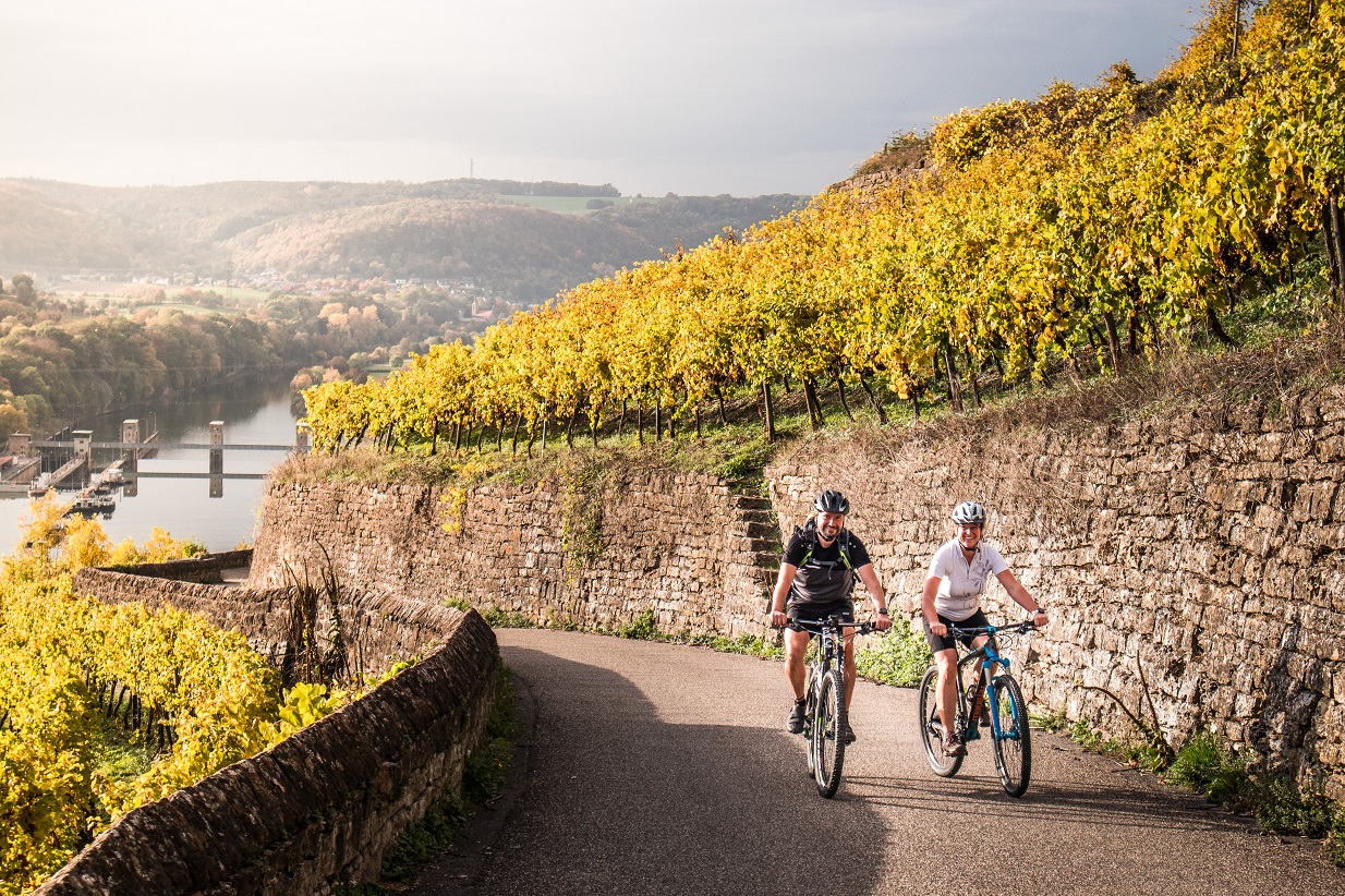 am neckar von mannheim nach stuttgart fahrrad