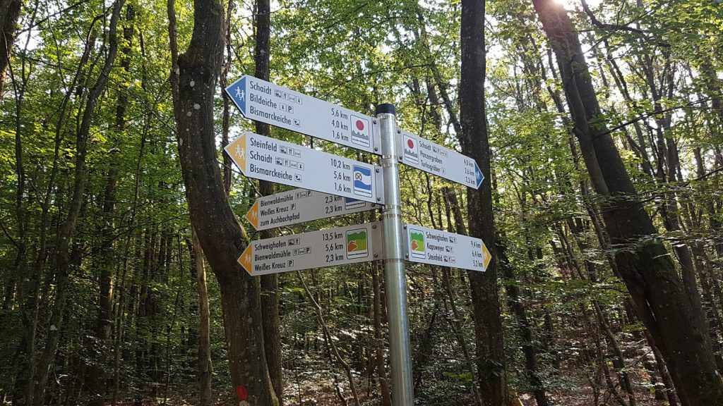 neue wanderwegweisung im bienwald suedpfalz tourismus landkreis germersheim ev