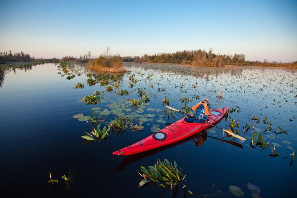 Okefenokee kayak© Georgia Department of Economic Development