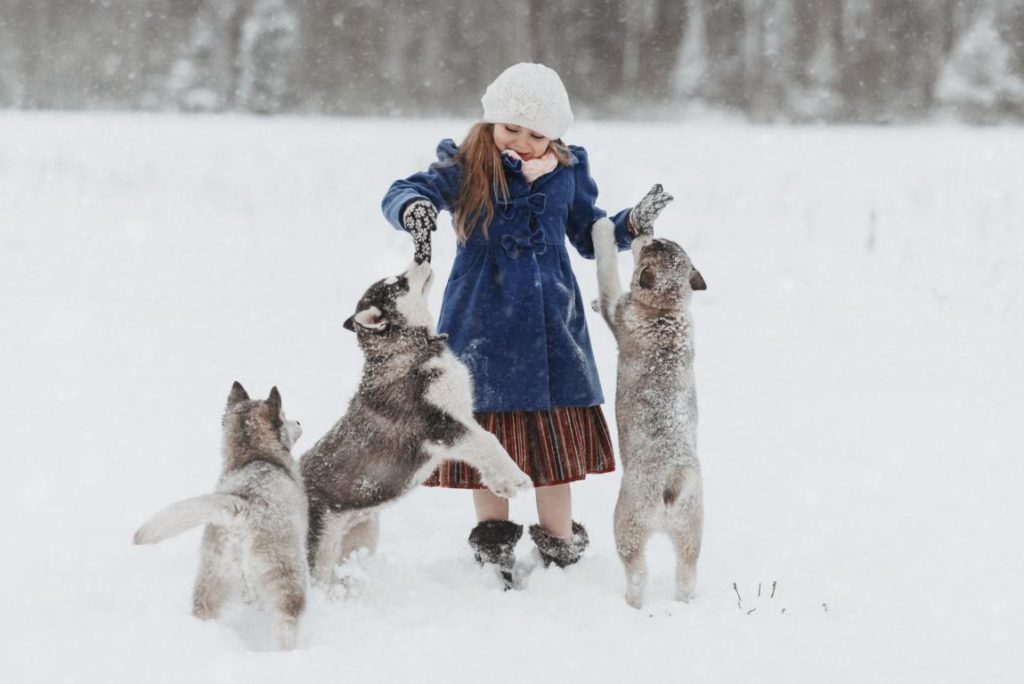Maedchen mit Huskies © Visit Estonia Paul Meiesaar 1