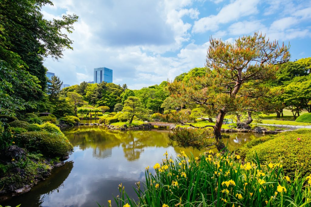shinjuku gyoen national garden in tokyo 2021 08 26 17 04 31 utc