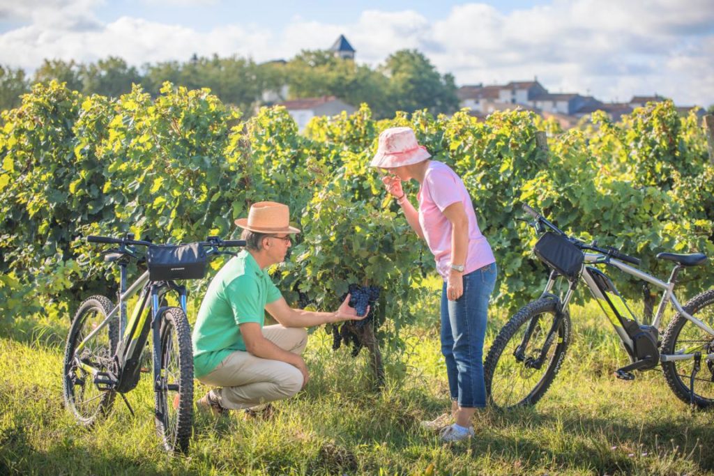 villesiscle 2021 09 vigne raisin velo cr vincent photographie adt aude