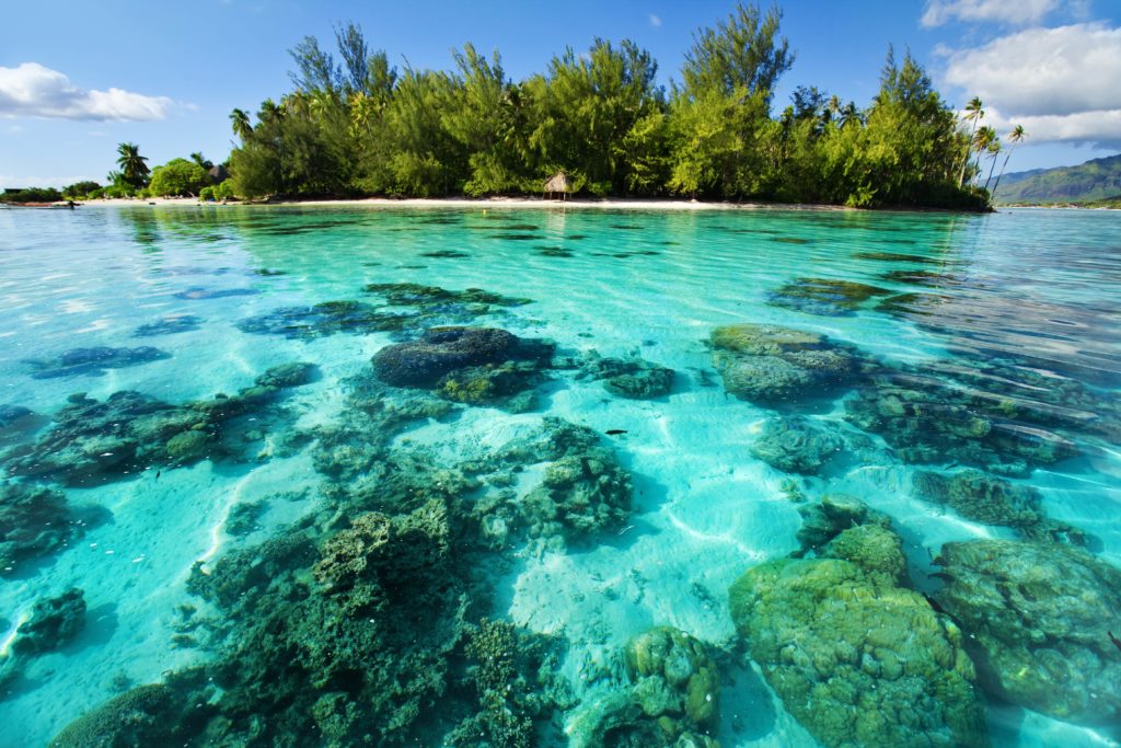 underwater coral reef next to tropical island 2021 08 26 15 59 35 utc min